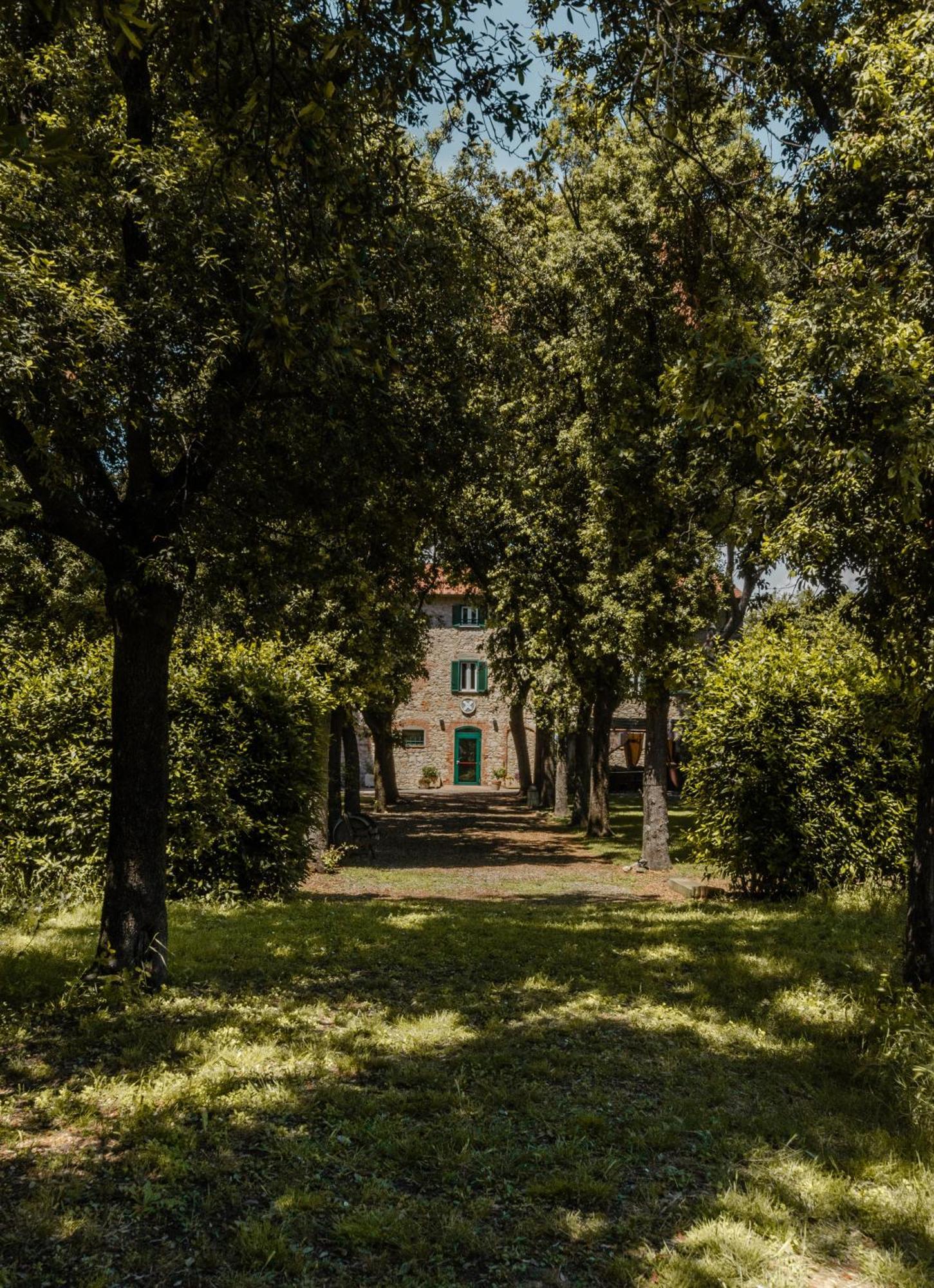 Razza Del Casalone Konuk evi Grosseto Dış mekan fotoğraf