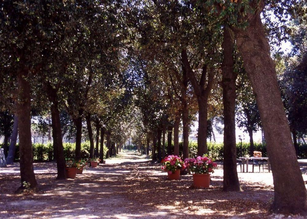 Razza Del Casalone Konuk evi Grosseto Dış mekan fotoğraf